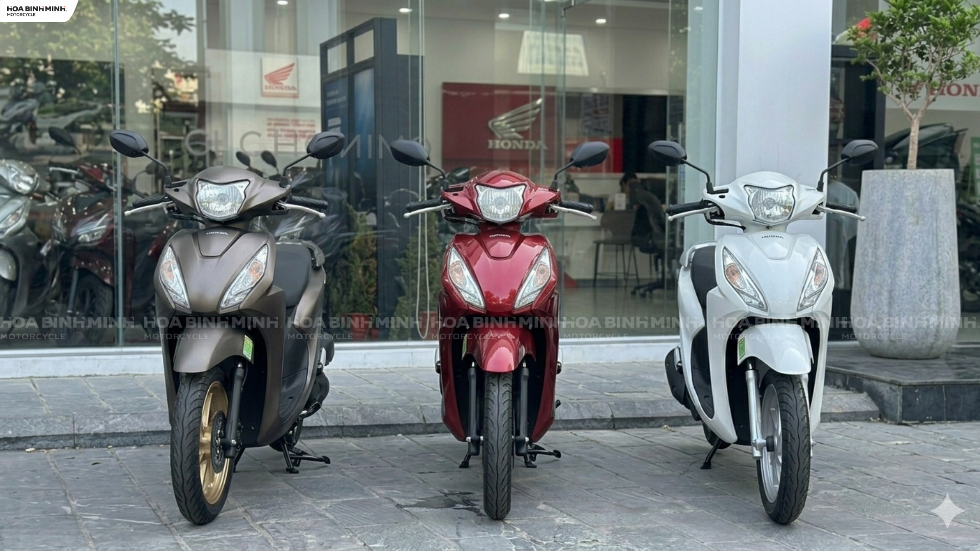 3 Phiên bản Tiêu chuẩn, Cao cấp, Đặc Việt của Vision 2026